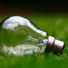 Glass light bulb on green grass